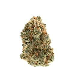 Demecan Craft Luna 31:01 Peechy Keen