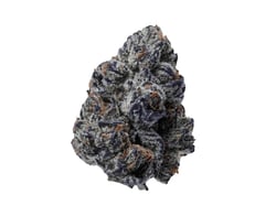 28/1 IUVO KC OJ Zainbow