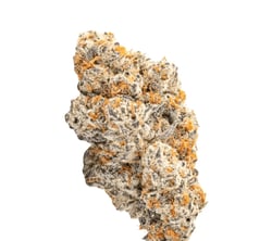 28/1 Amici RV Red Velvet