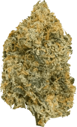 Demecan GT Epic Drop 30/1 Minis- Girl Scout Kush
