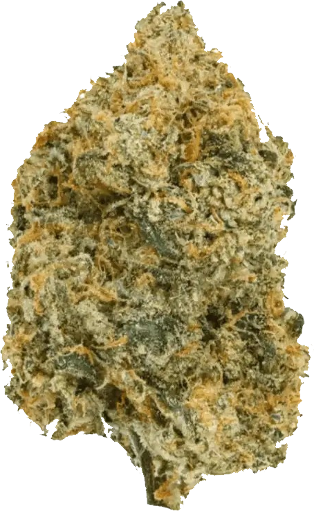 Demecan GT Strong Drop 27/1 Minis- Girl Scout Kush