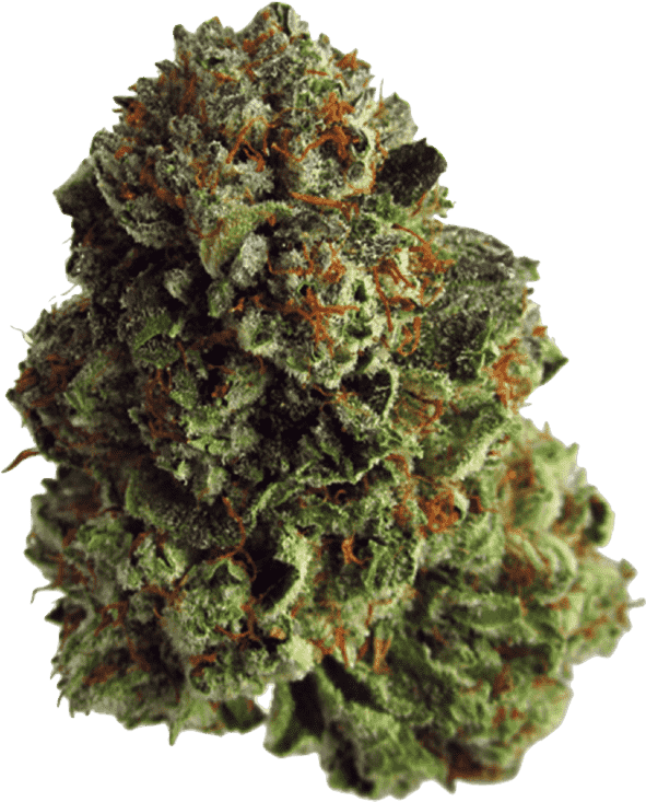 Medizinalcannabis