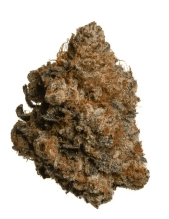 Demecan Core Cros 26:01 Crossbow