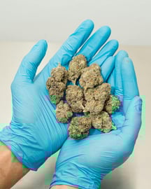 Wer bekommt Cannabis als Schmerzmitt