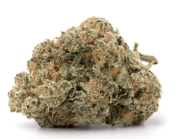 Demecan MC Low Drop Acapulco Gold