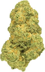 Pedanios 31/1 COS-CA Cosmic Cream