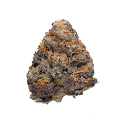 Medical Saints 21/1 USR Ultra Sour