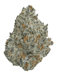 Demecan Core ICC 22:01
Ice Cream Cake